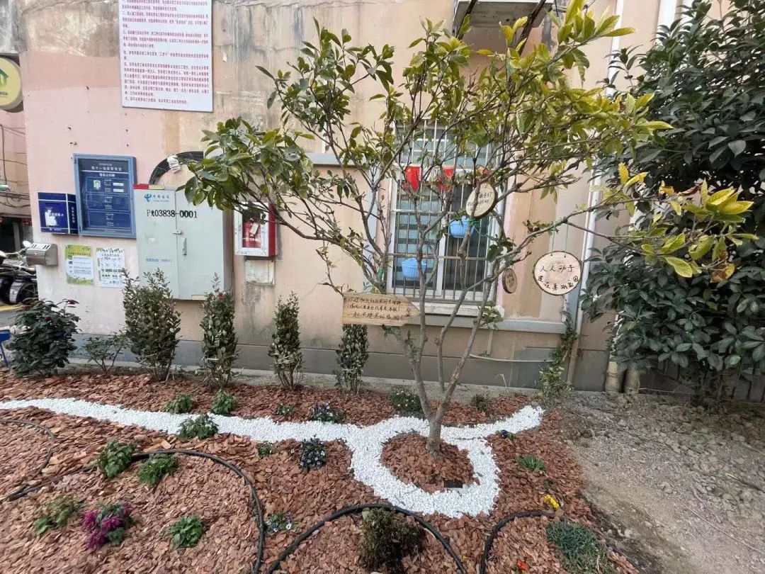 小区绿化带变身童话花园还差一个你，快快来加入吧！-28