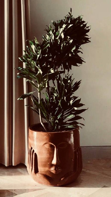 丨印度尼西亚巴厘-24