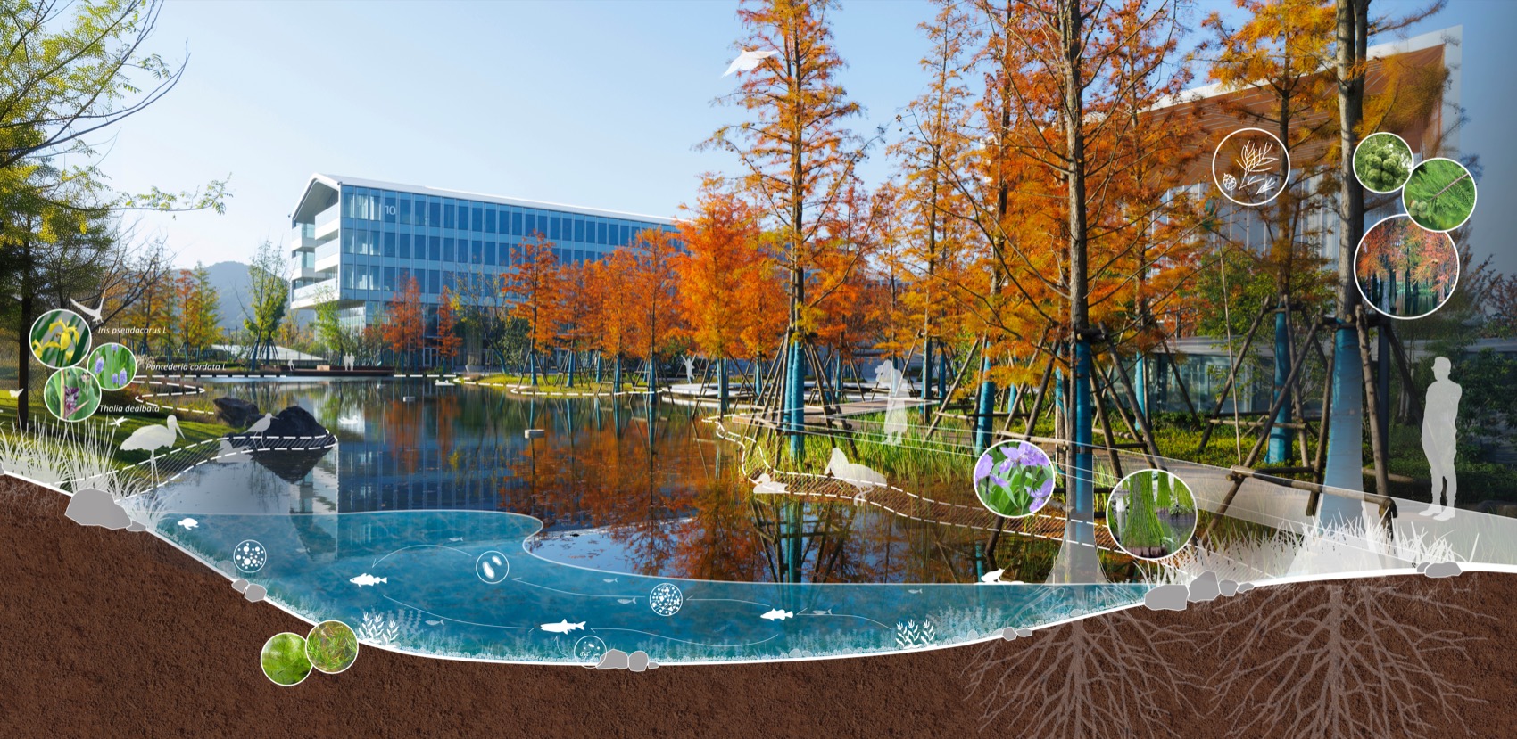 阿里巴巴南湖未来科学园丨中国杭州-95