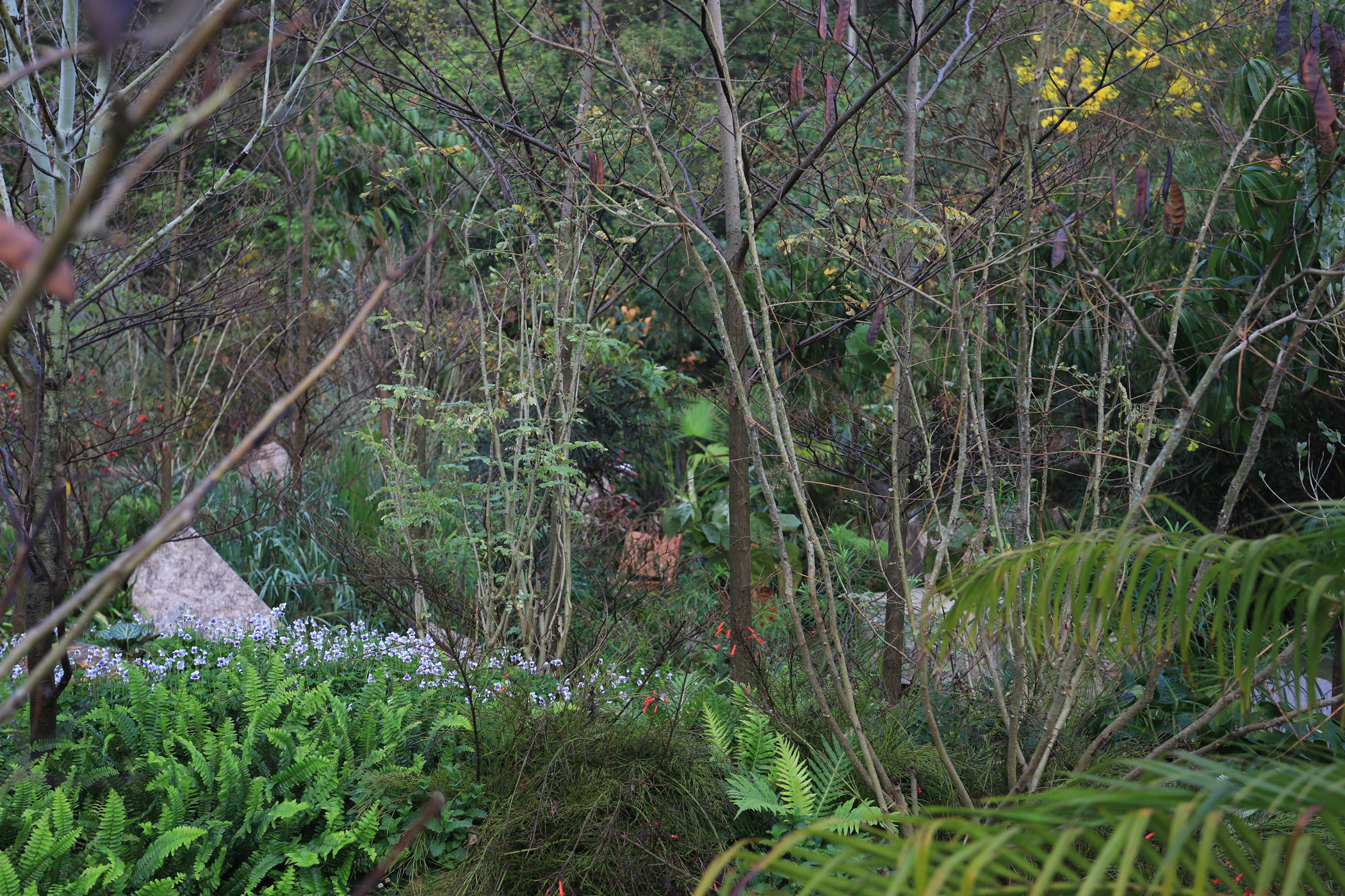 Shenzhen Flower Show - Xanthe White Design-40