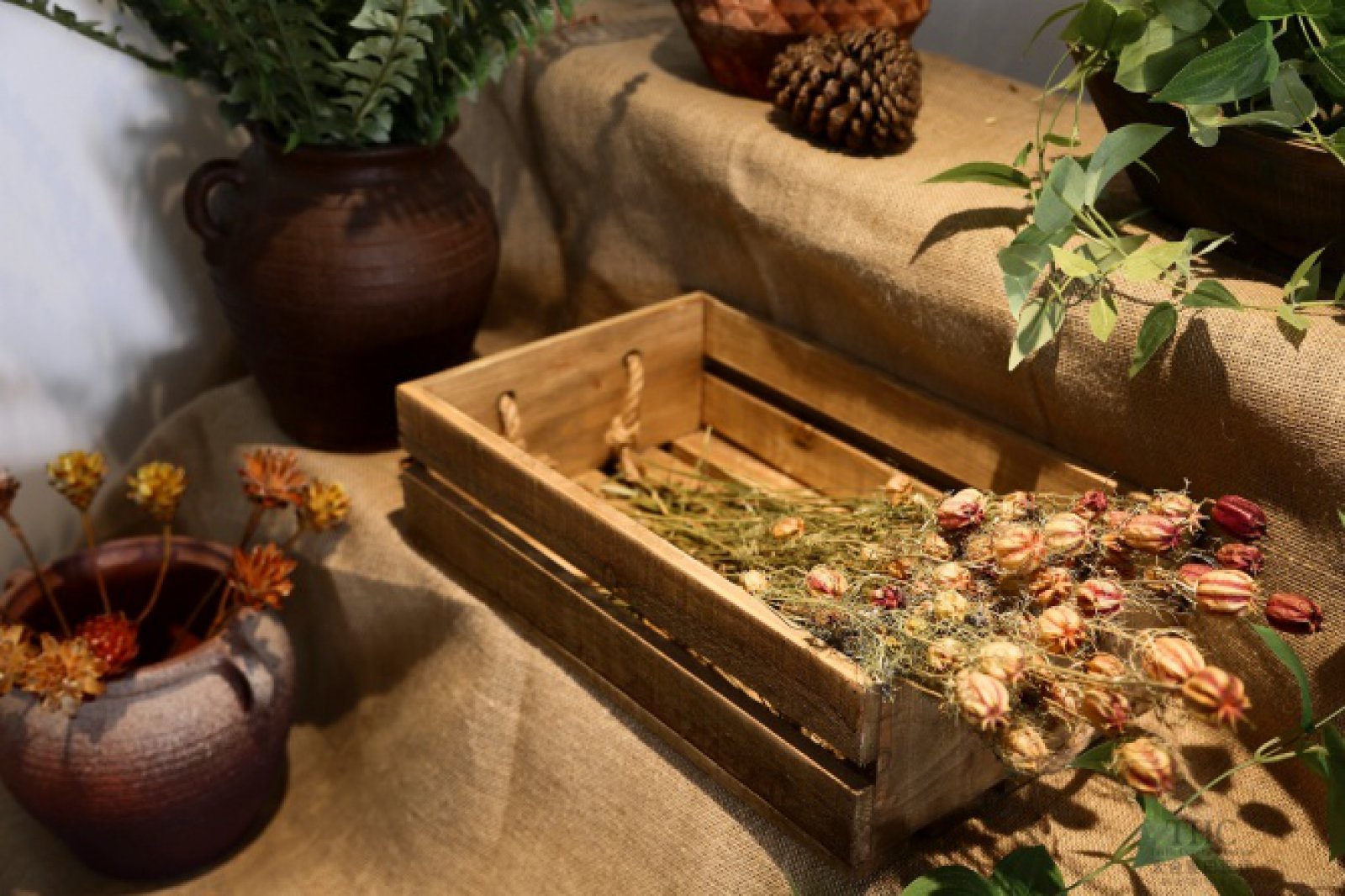 归心生活——宁波蔷薇酒店  太合麦田设计-13