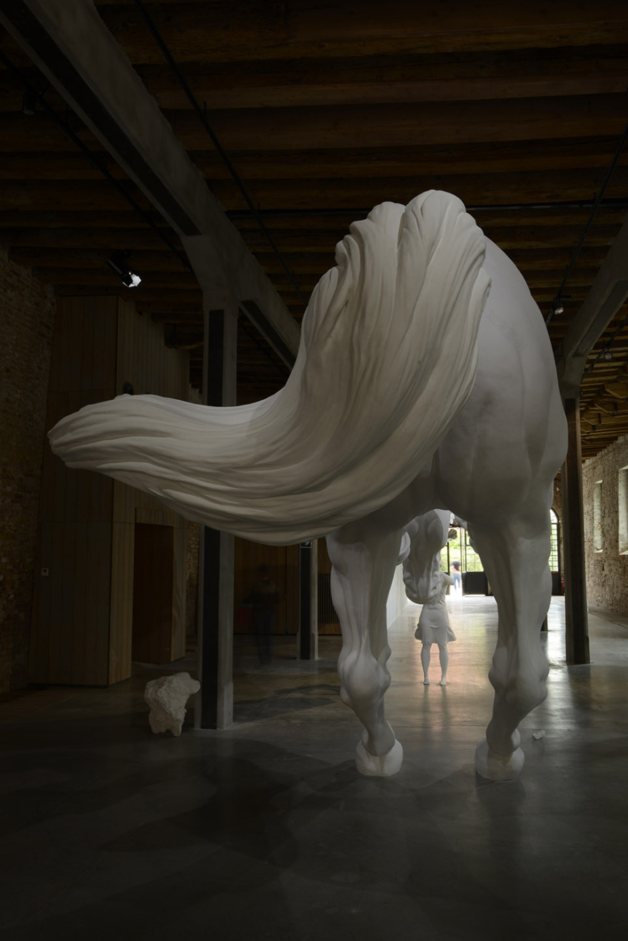 问题之马 / Claudia Fontes-30