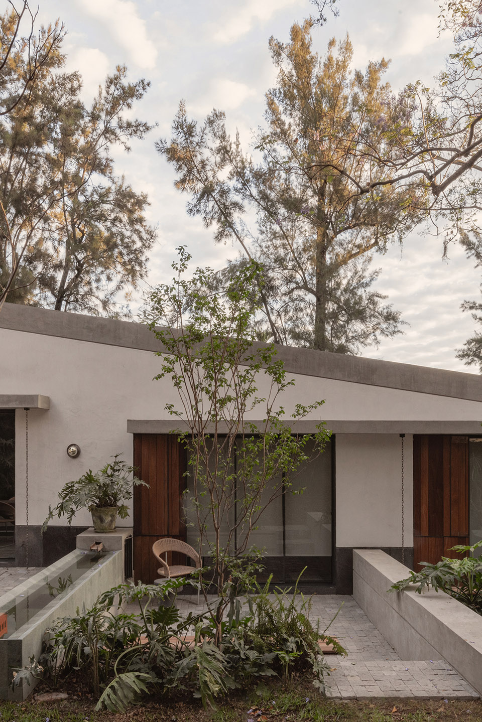 Malvas 59住宅丨墨西哥丨Estudio Radillo Alba-30