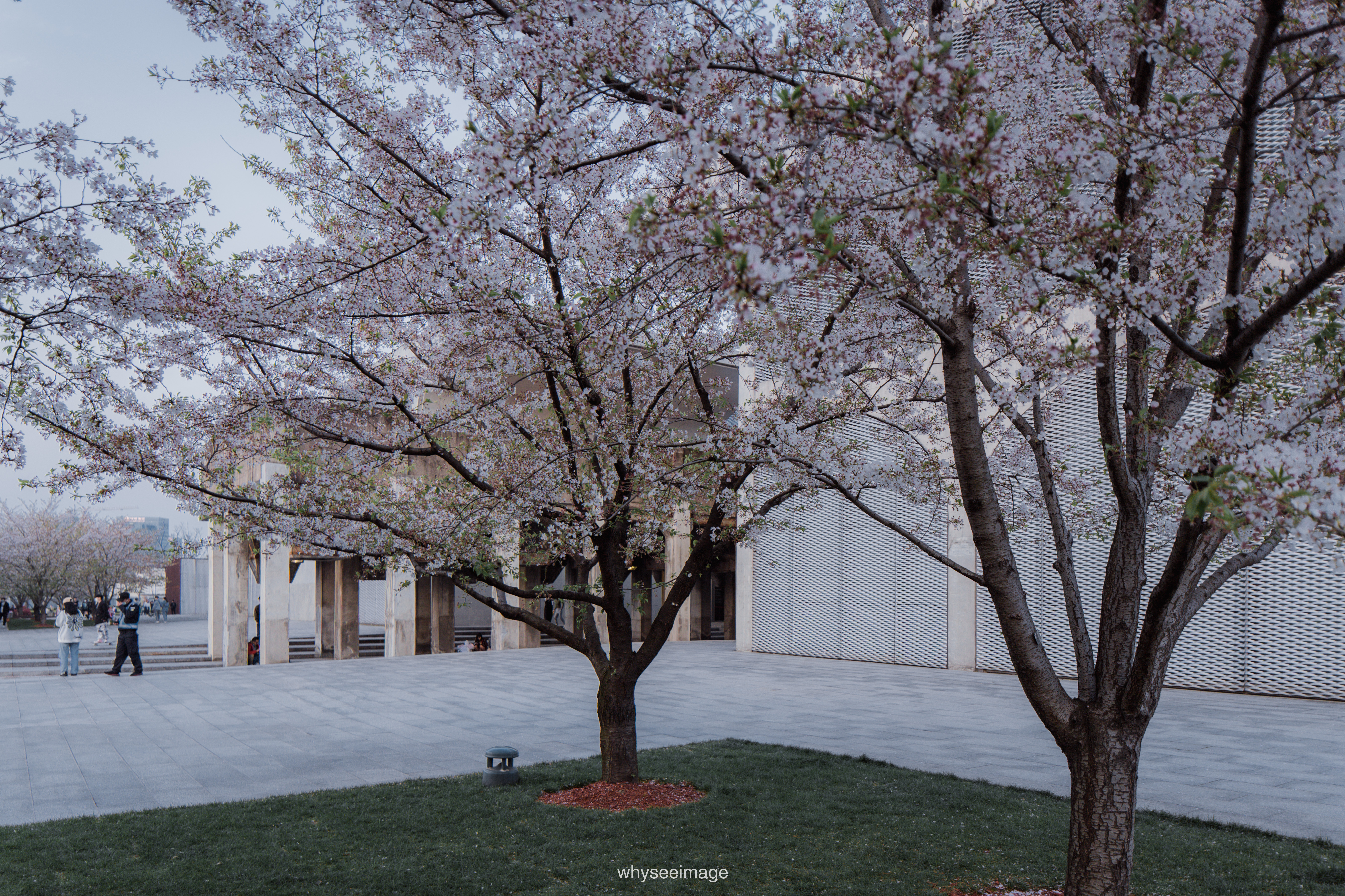 樱花+龙美术馆丨中国上海丨大舍建筑设计工作室-152