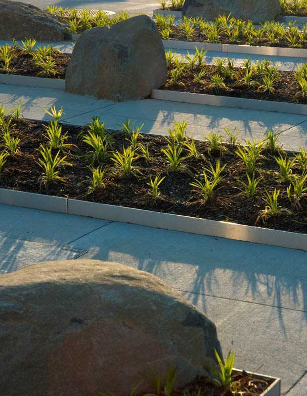 纽约 LIJ 妇女医院景观设计展现医疗保健之美-2