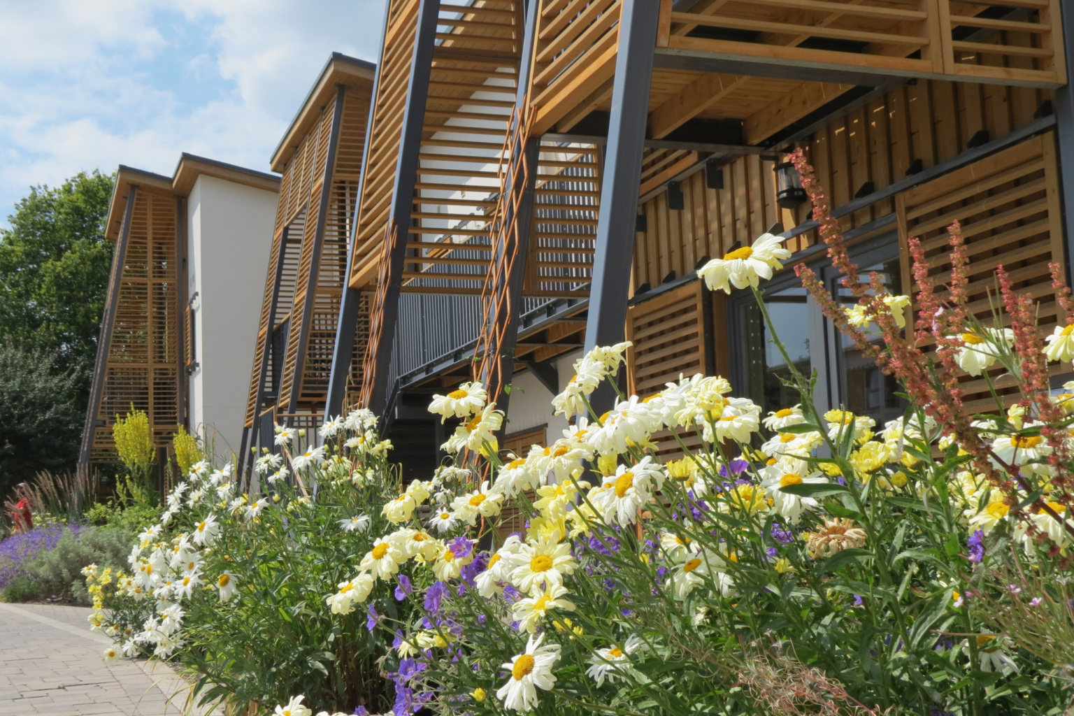 丨英国布里斯托尔-136