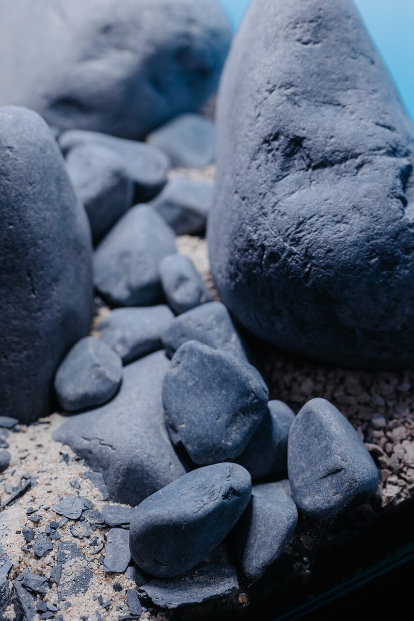 Akwarystyczne aranżacje od TRZMIEL zaprojektowane przez youtubera Zenon Aqua - PLN Design-4