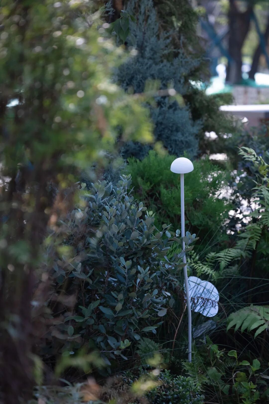 东湖梅园檐下烟火丨湖北科投·万科·光谷锦上-37