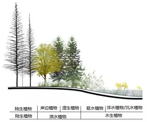 桂林漓江洲岛生态修复 | 绿色共生，重构人与自然和谐空间-50