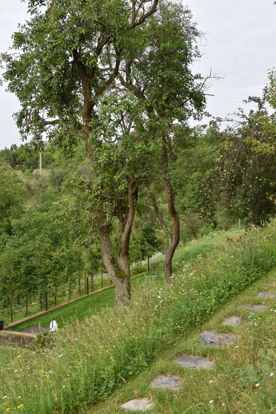 绿色和谐的坡地住宅花园设计丨捷克丨Tomáš Beránek-26