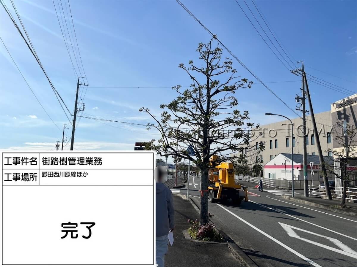 四日市市あがたが丘線ほか８線街路樹管理業務委託-10
