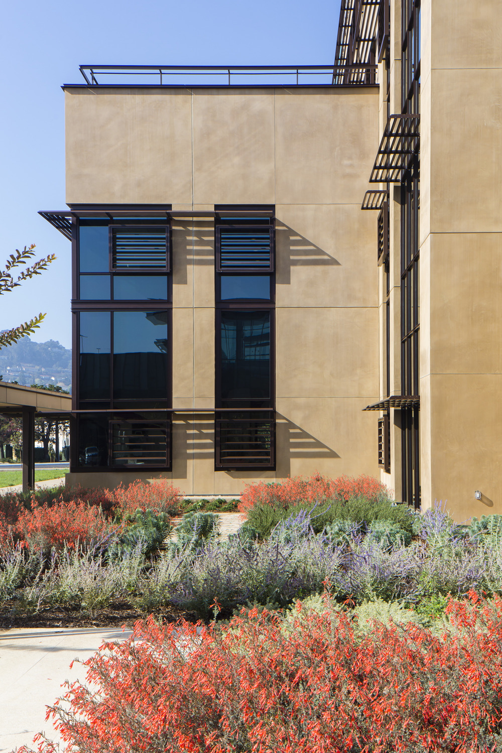 帕洛阿尔托医学基金会圣卡洛斯中心 -0