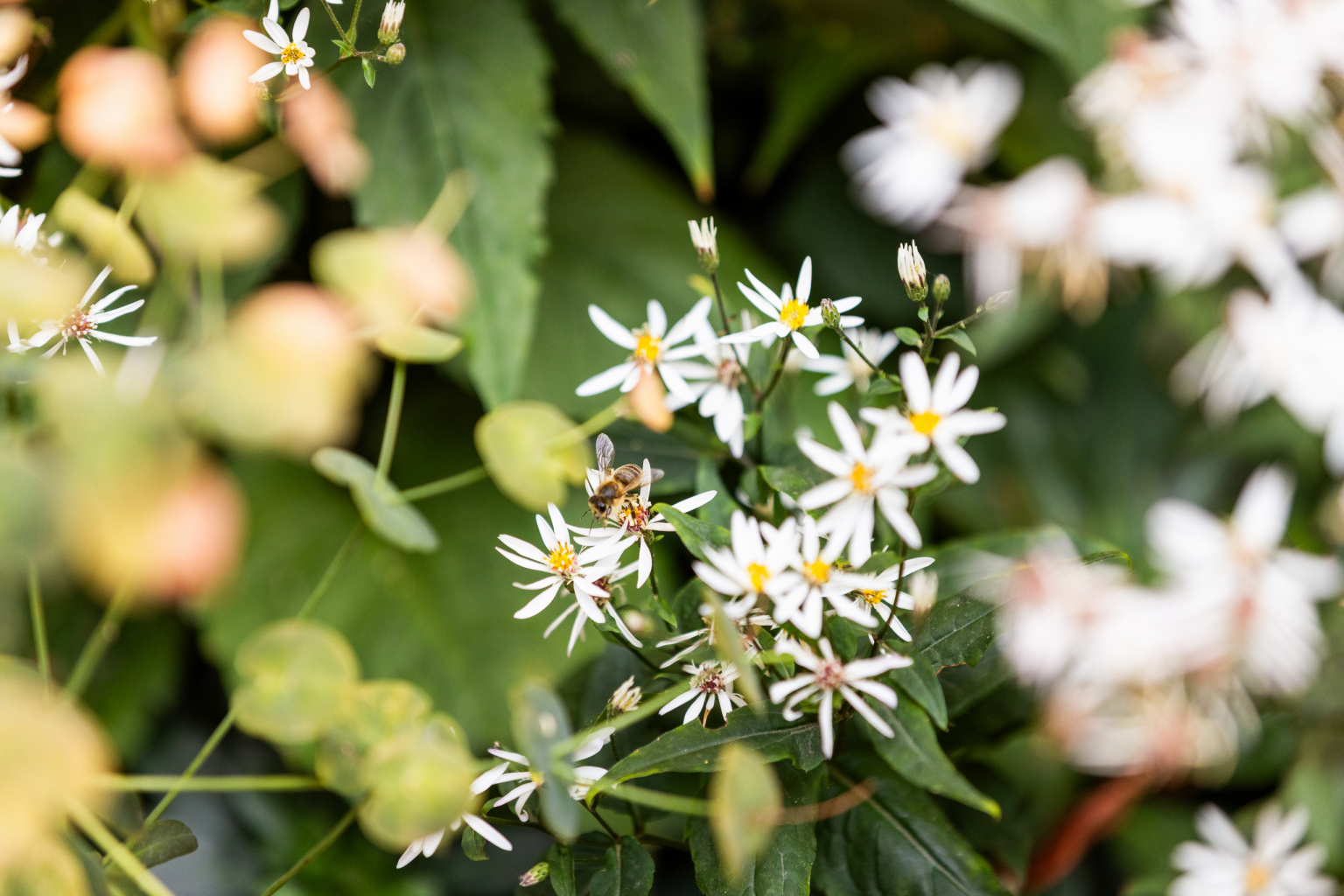 HTA Design | Sutton Estate-53