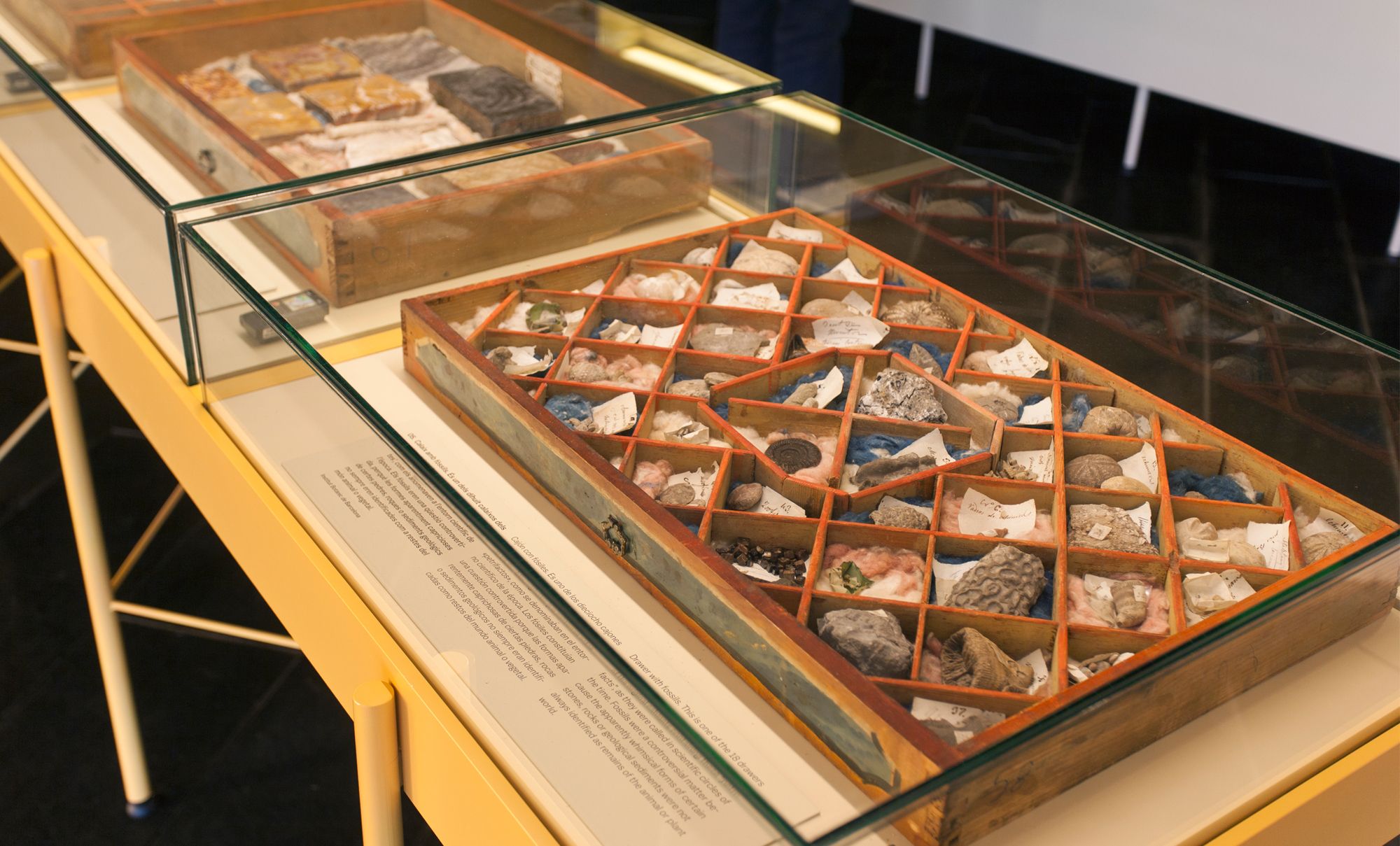 SALVADORIANA科学藏品展丨西班牙巴塞罗那丨emiliana design studio-14