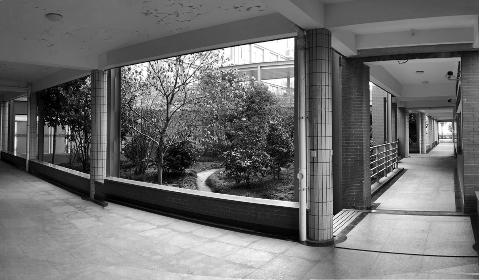 上海市实验学校中心庭院改造丨大观(上海大观景观设计有限公司)-7