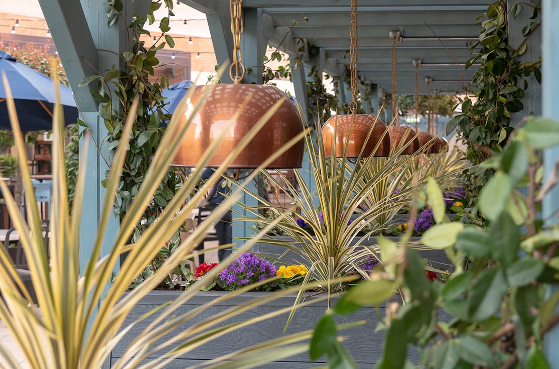 The Ash Tree啤酒花园及酒吧室内翻新项目-3