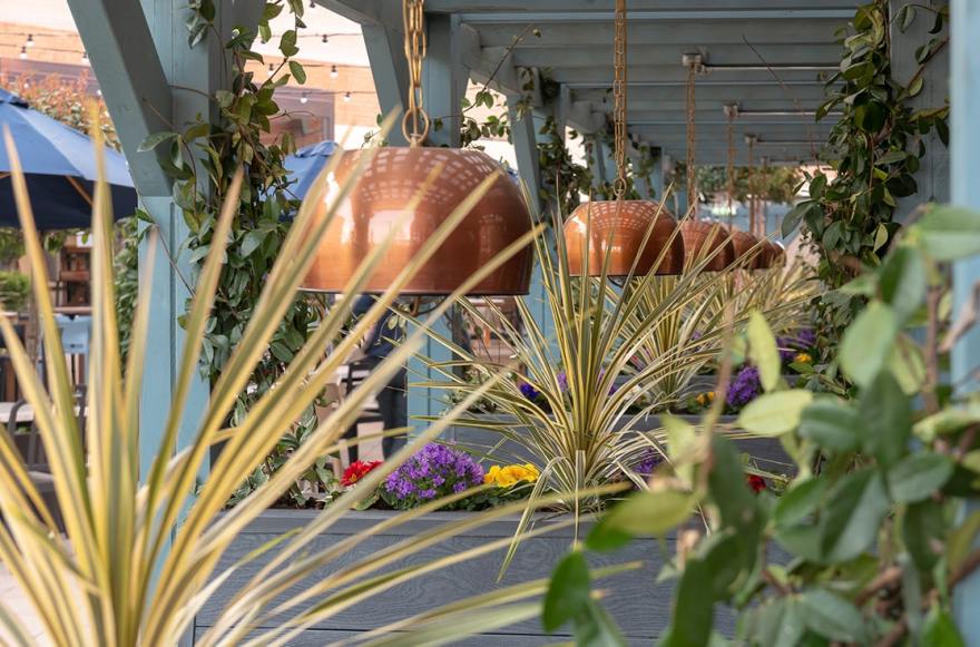 The Ash Tree啤酒花园及酒吧室内翻新项目-3