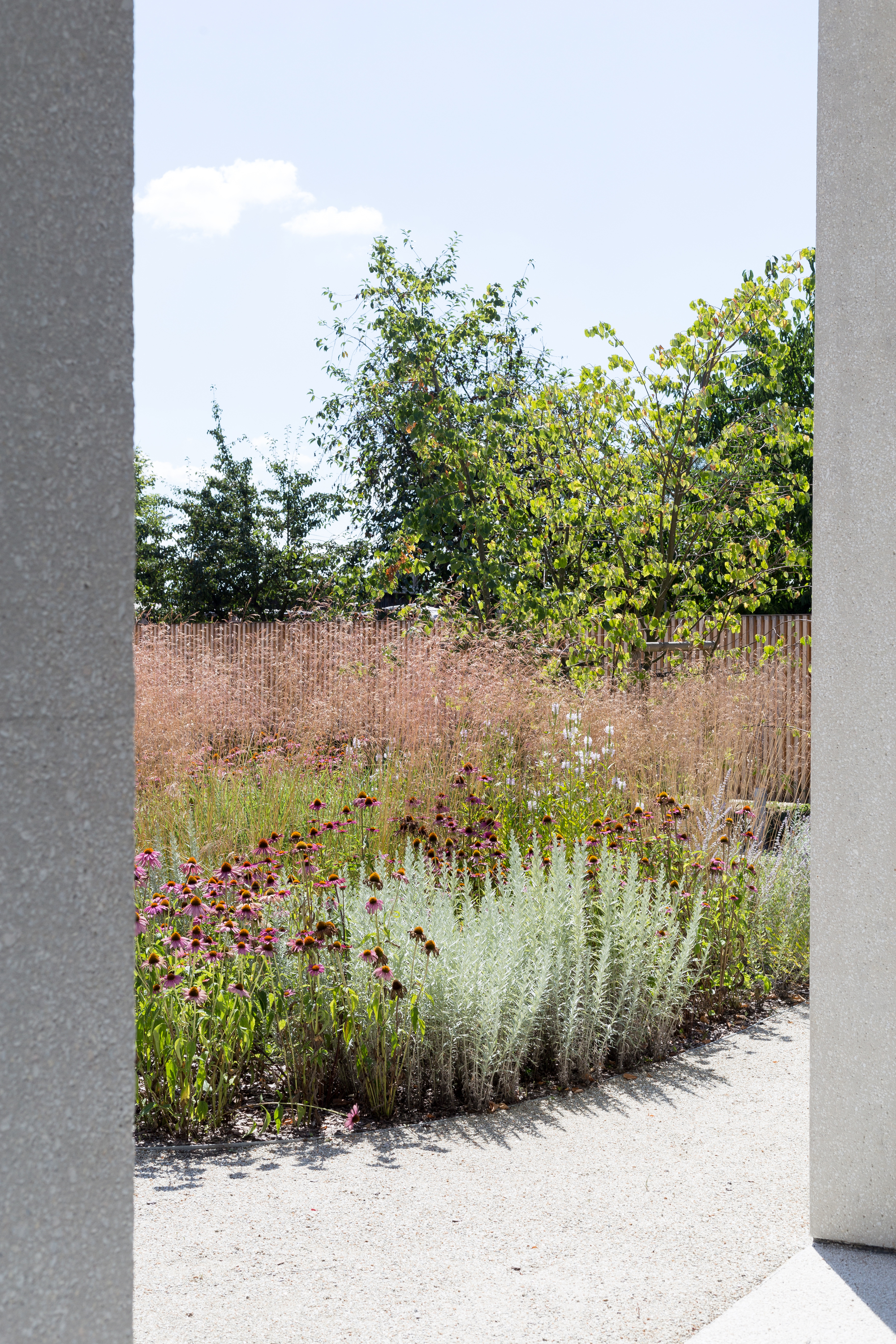 Pilecki 家族博物馆丨波兰丨BDR Architekci-35