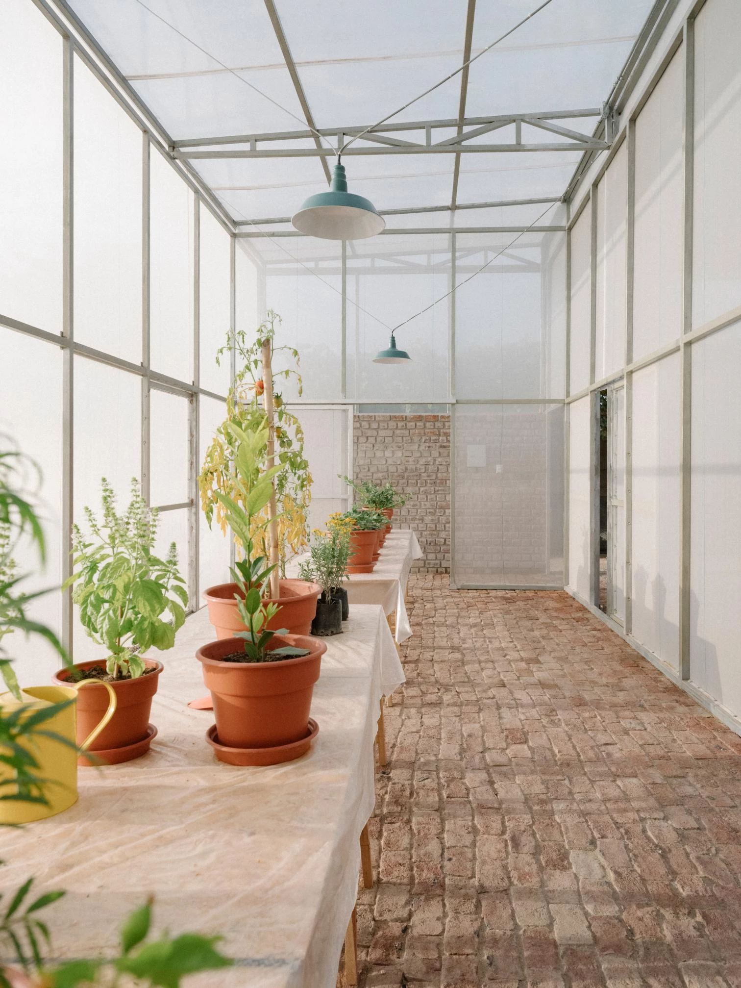 植物与人共存的温室丨秘鲁-13