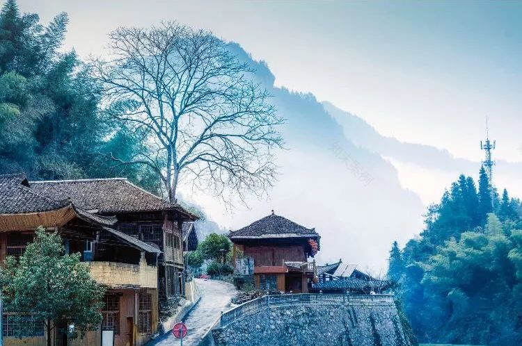 山居艺术 | 云间桃树,泉鸣林深-37