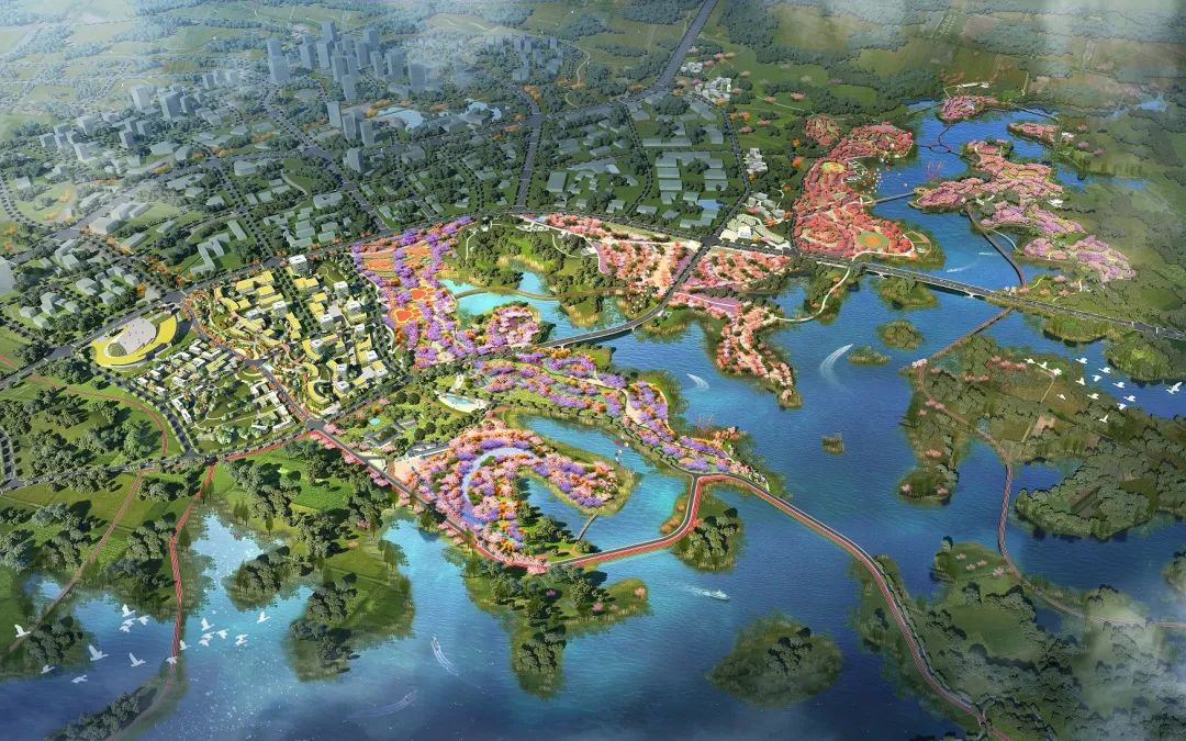 高新区国际彩色花木小镇 | 山水间的彩色生活新探索-43