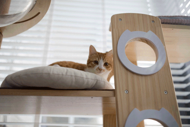 广州 64㎡小户型改造，9 步打造舒适生活空间-83