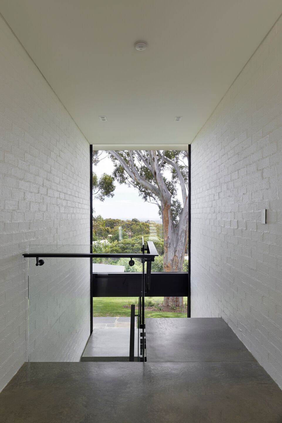 澳大利亚糖枫树之家-29