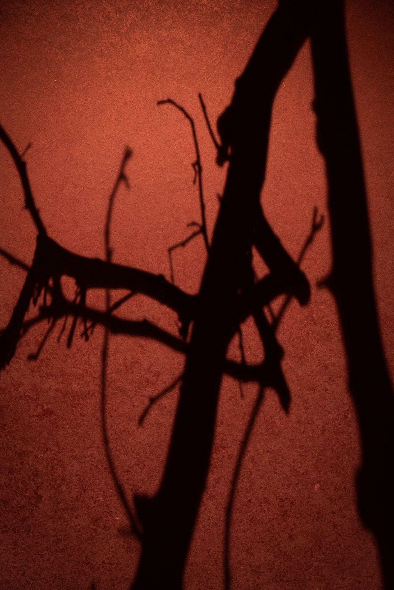 隐逸东方·五韵流形丨中国北京丨营造清美空间设计有限公司,清美营造建筑事务所-24