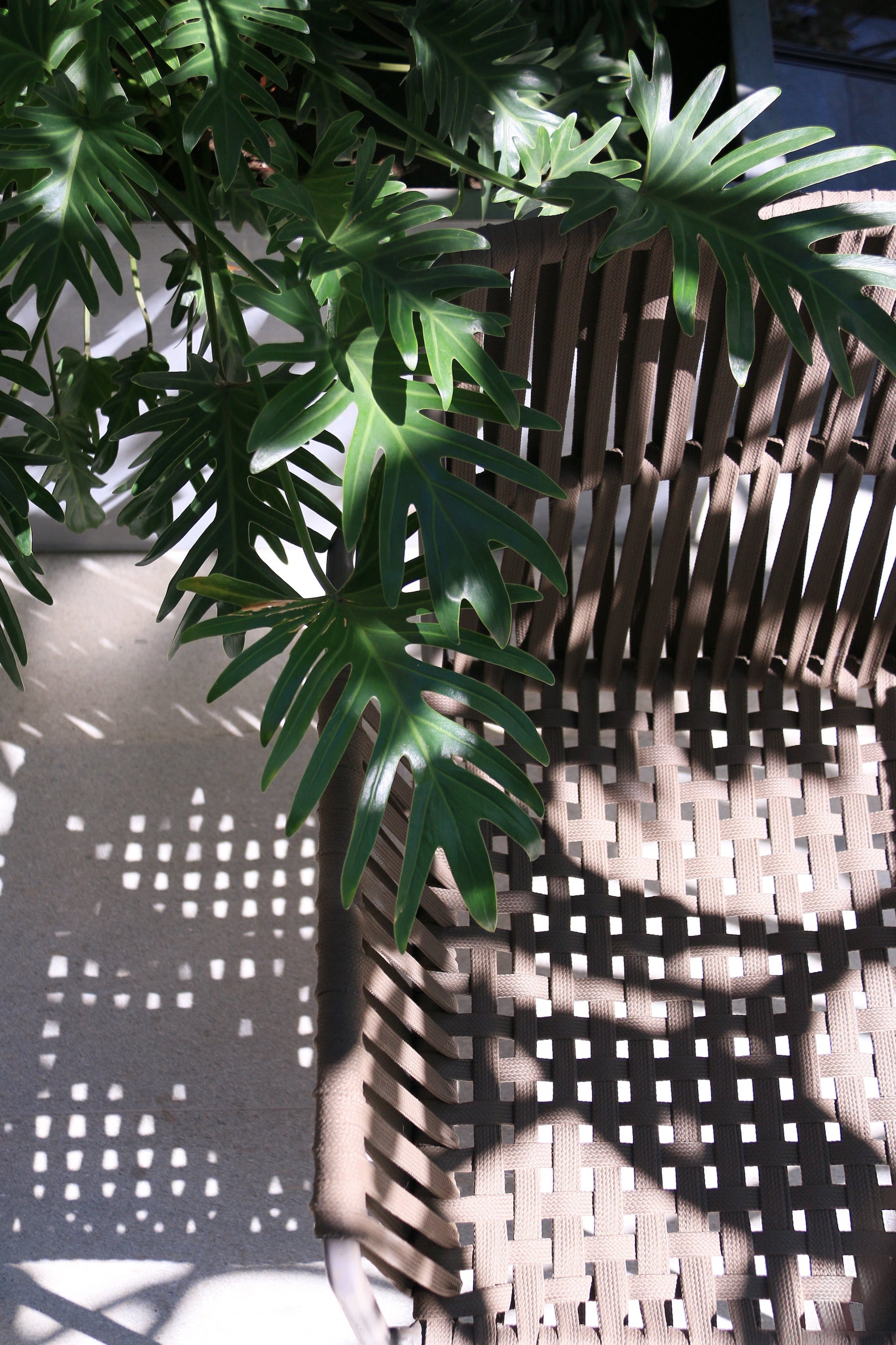 阿那亚雾灵山停云隐庐与北京阳光上东总部丨中国北京丨致舍(北京)景观规划设计事务所-71