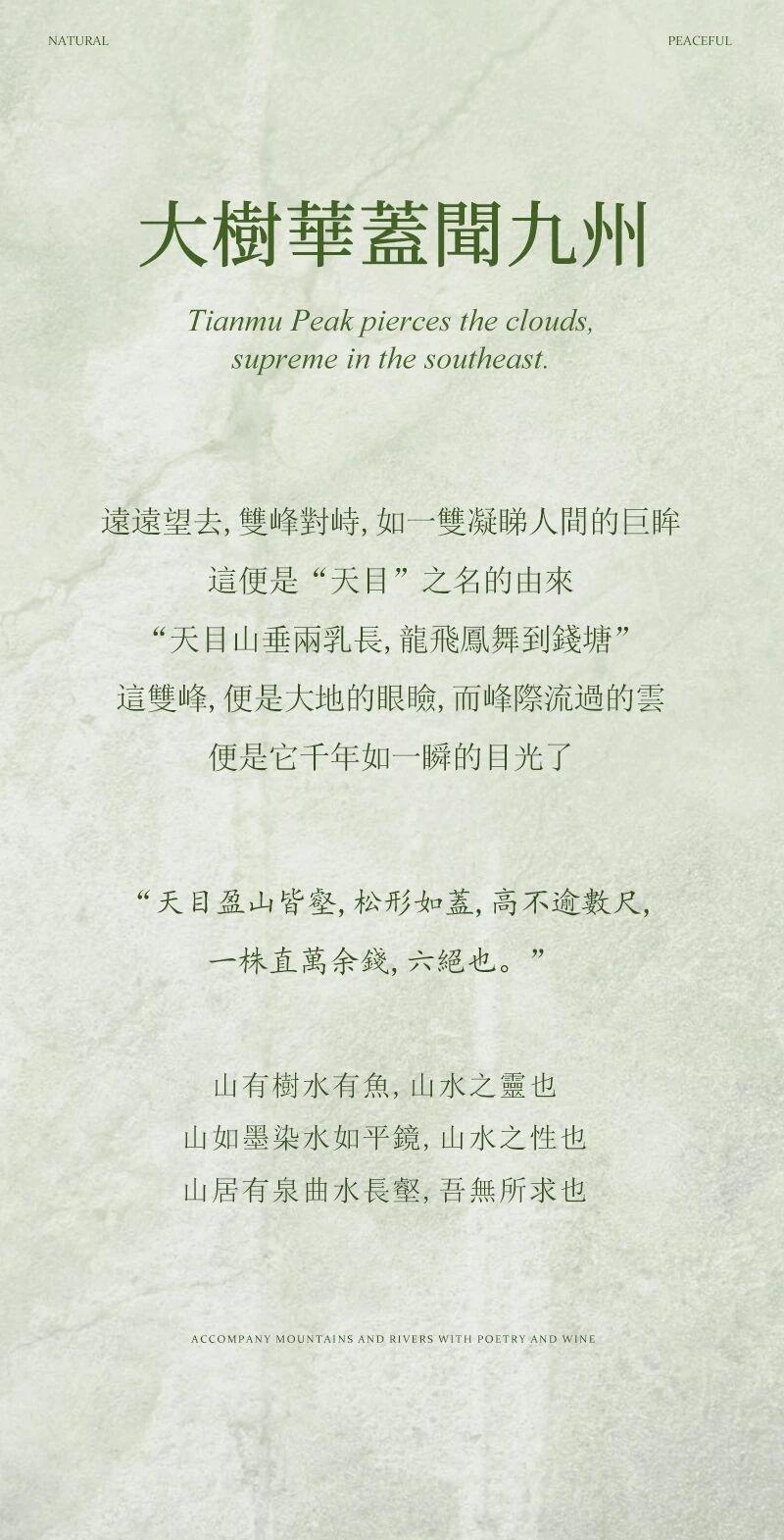 天目山树华酒店·希尔顿格芮精选丨中国杭州丨大象建筑设计有限公司（建筑,景观）-1