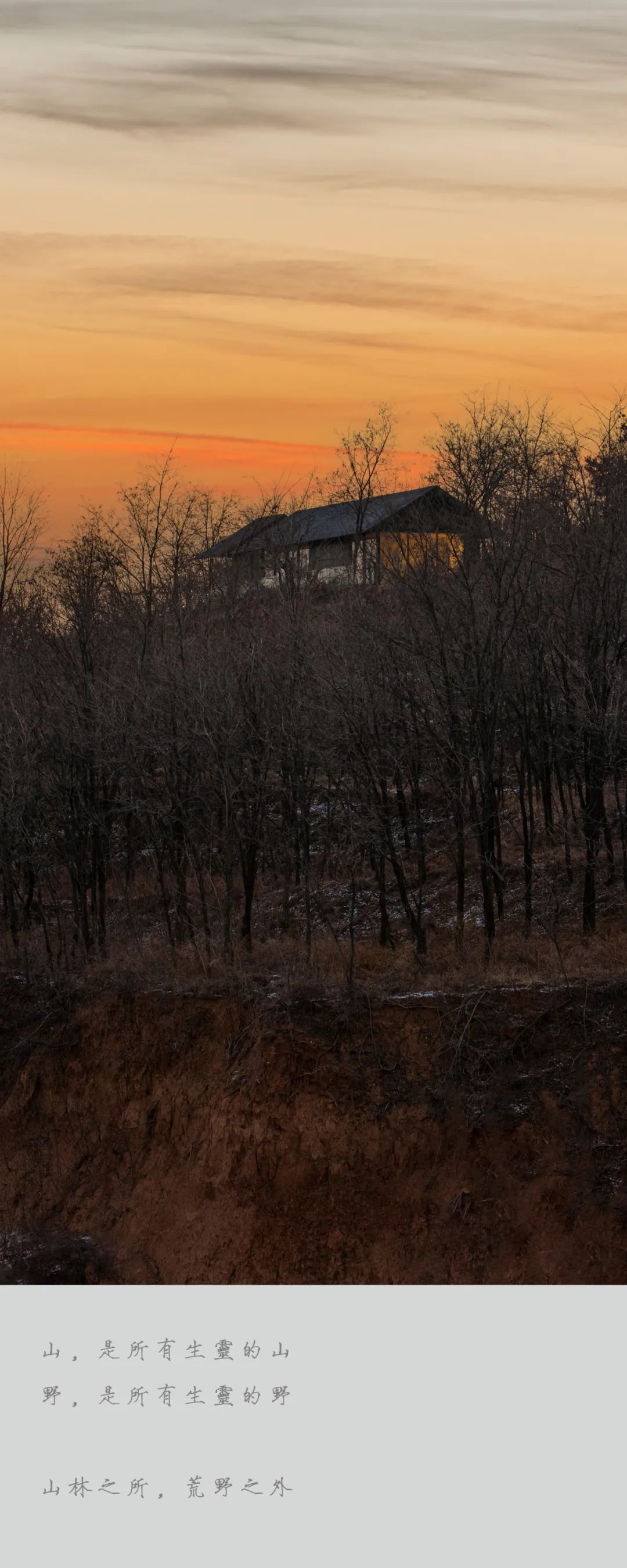 树下·山中木屋丨中国洛阳丨二合永设计-0