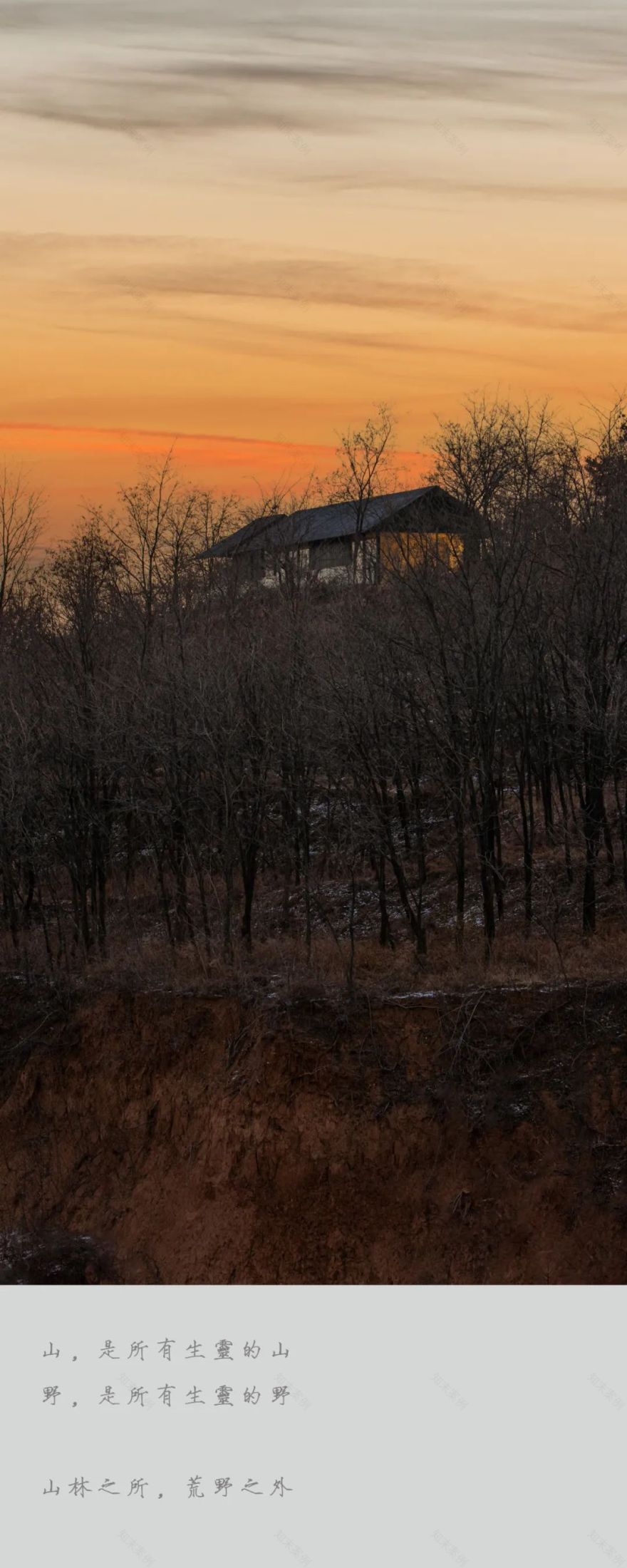 树下·山中木屋丨中国洛阳丨二合永设计-0