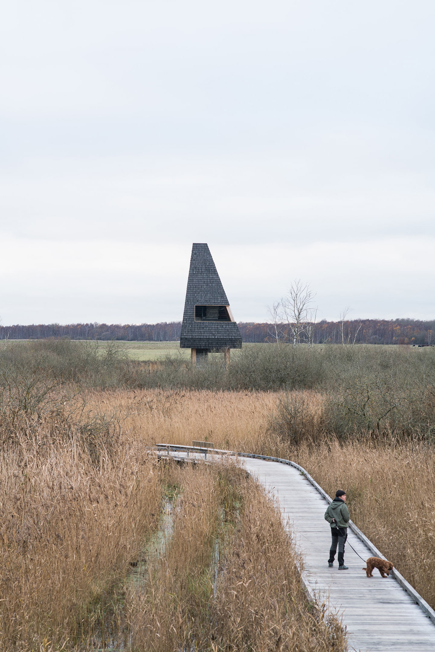 哥本哈根阿玛格自然公园游客点改造项目丨丹麦哥本哈根丨ADEPT（建筑）,LYTT Architecture（景观）-28