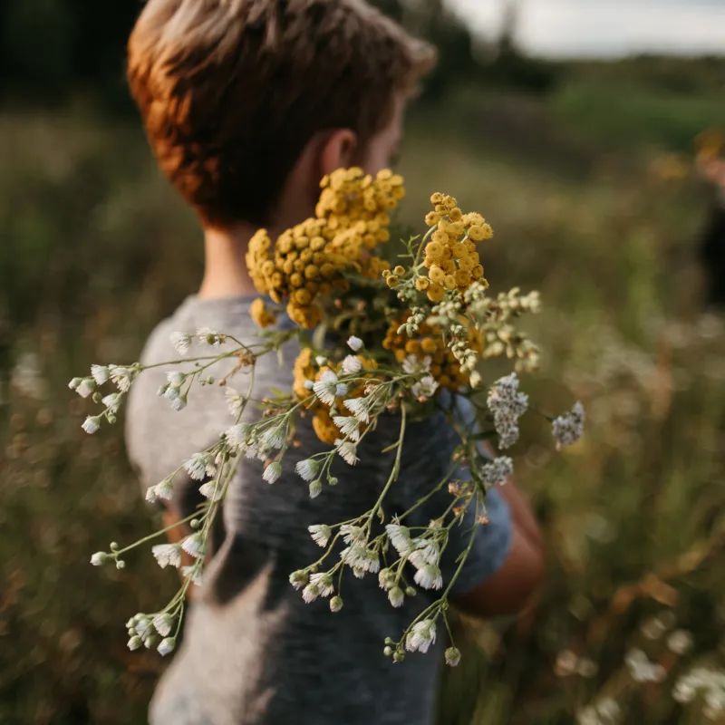 野花农场度假村丨美国纽约丨Auberge Resorts Collection-14