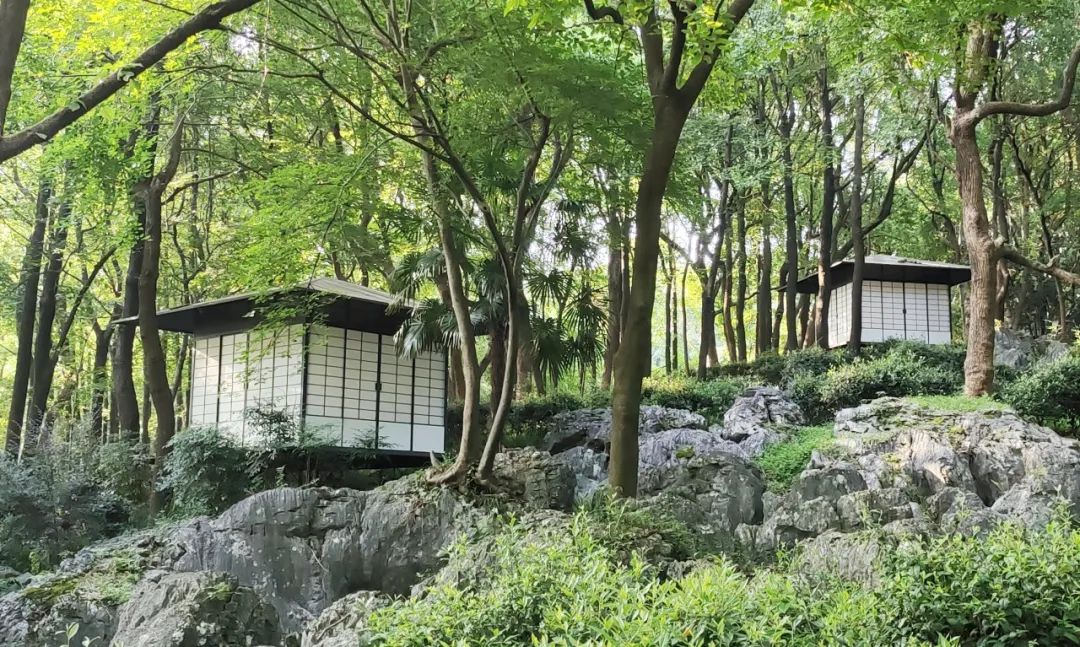 杭州“山中茶街”文化博览园景观丨中国杭州丨杭州园林设计院股份有限公司-13
