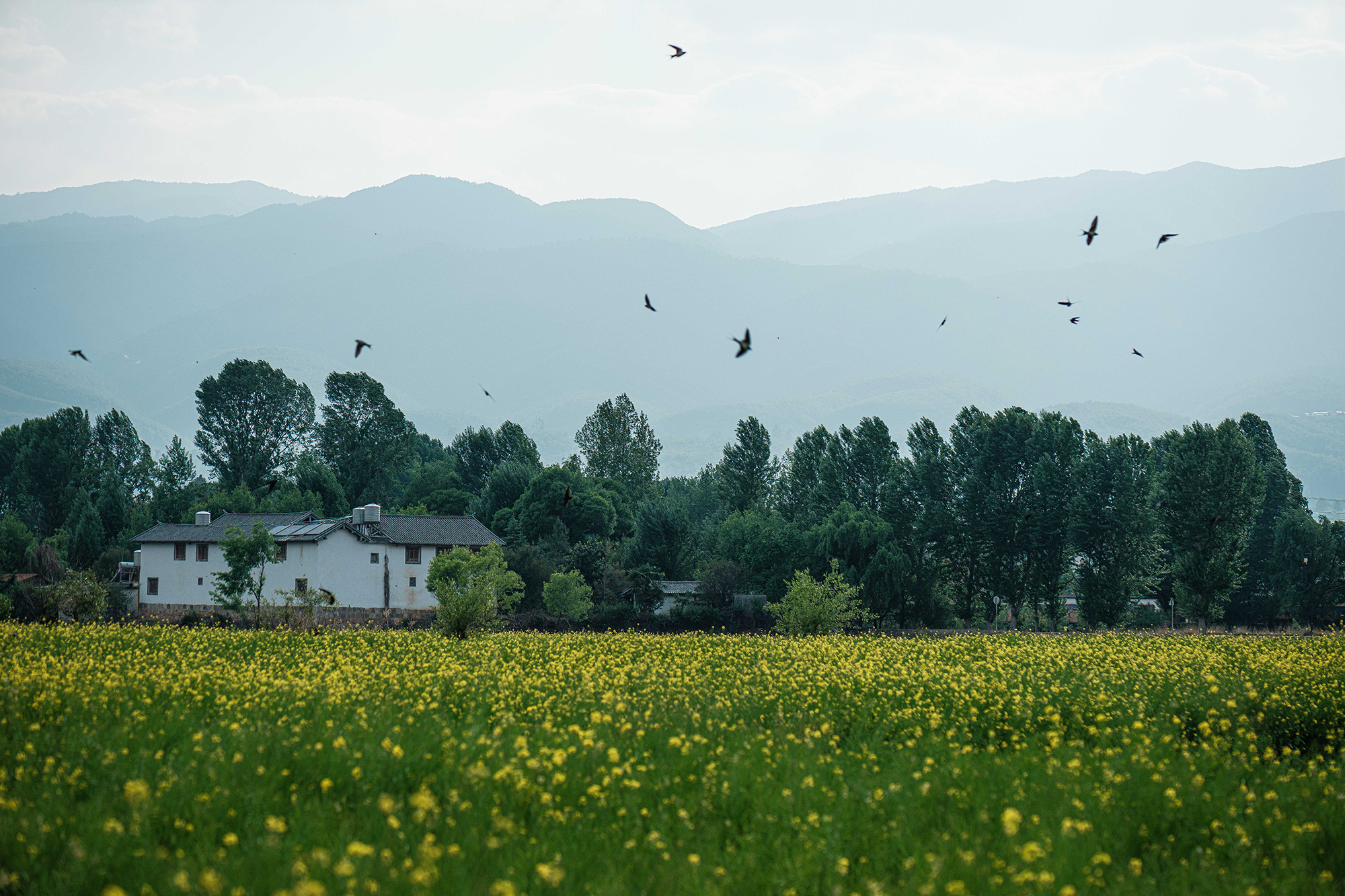 坡无是丨中国云南丨寻同空间设计-10