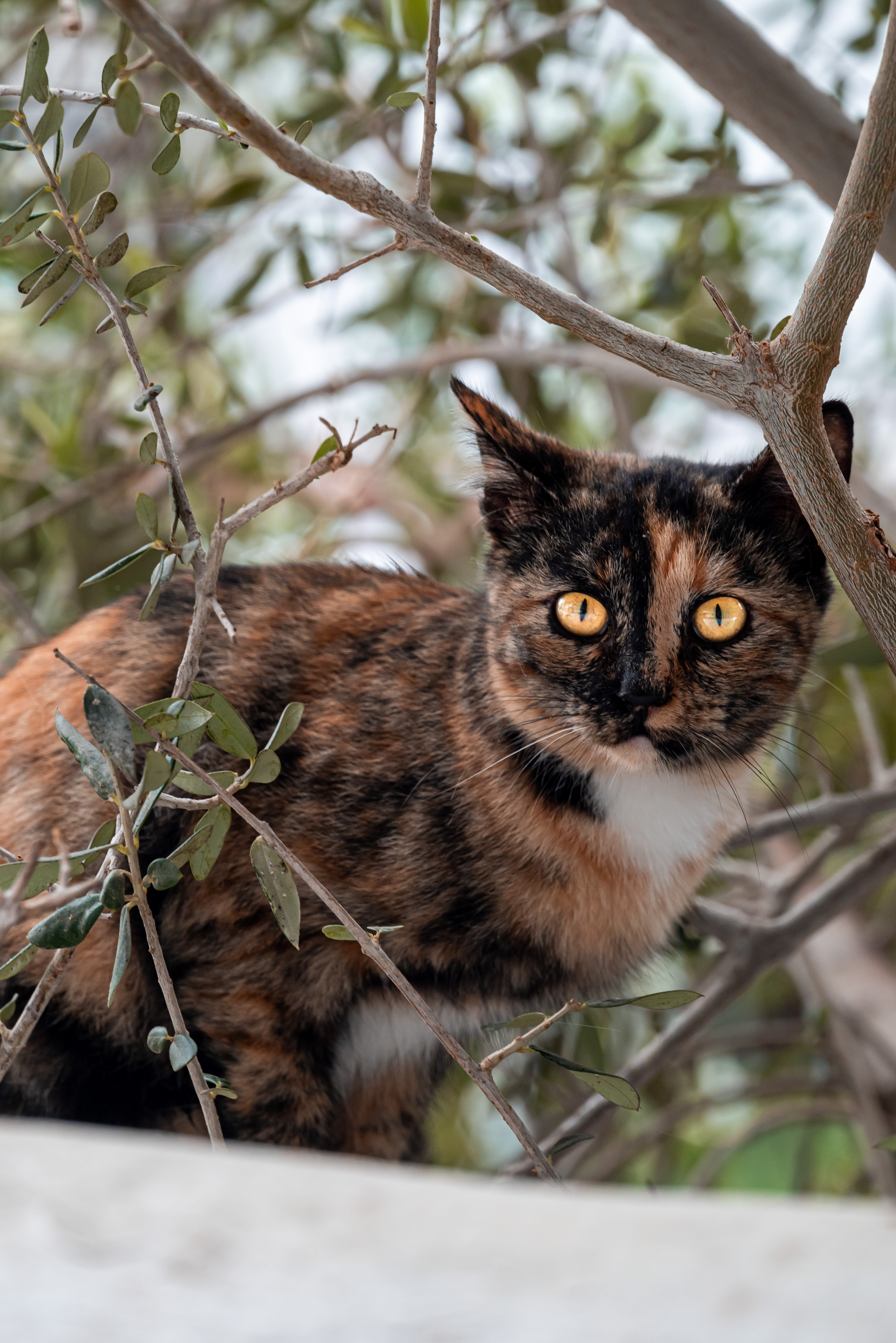 白色城镇丨西班牙丨María Camila Calle Botero-17