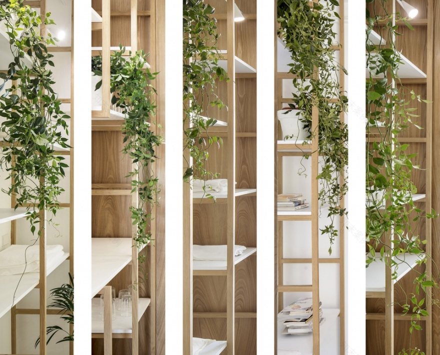 巴塞罗那十九世纪阁楼住宅,空间重塑与自然融合-38