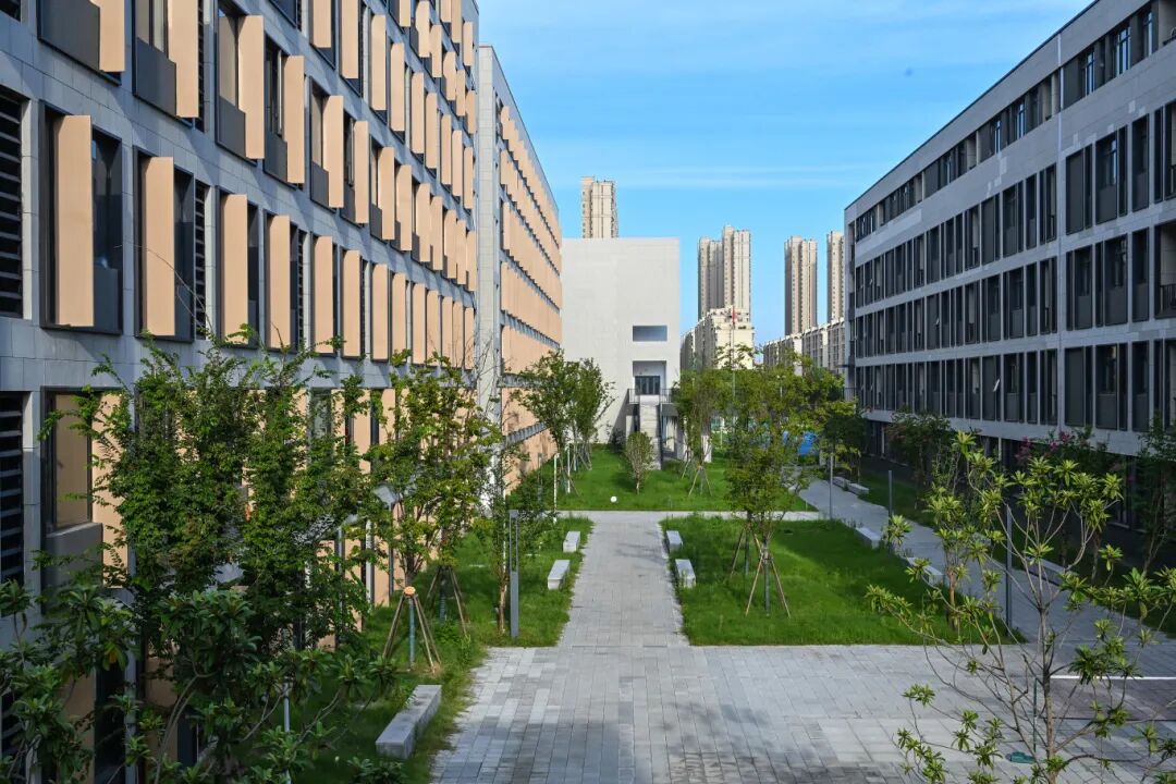 无锡市堰桥高级中学易地新建工程丨建筑邱晓峰等,结构张通等,机电孙立军等-35