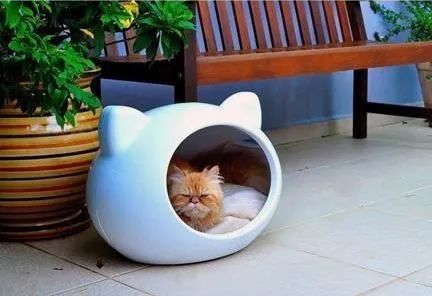 庭院宠物之家 | 打造宠物宜居的户外空间-57