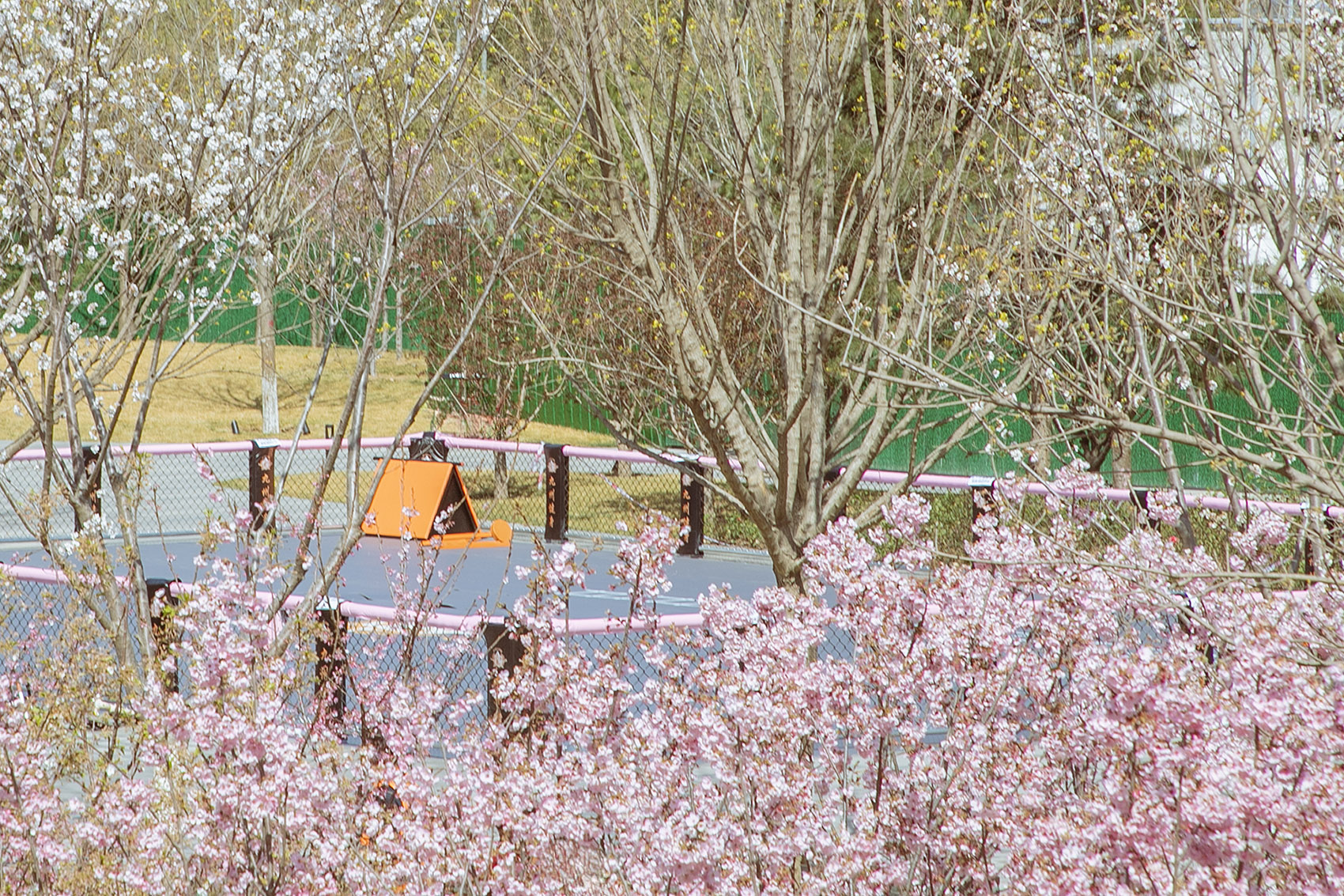 北小河公园樱花谷环境改造提升设计丨中国北京丨埊木设计（CAFA·A城市艺术创新中心）-74