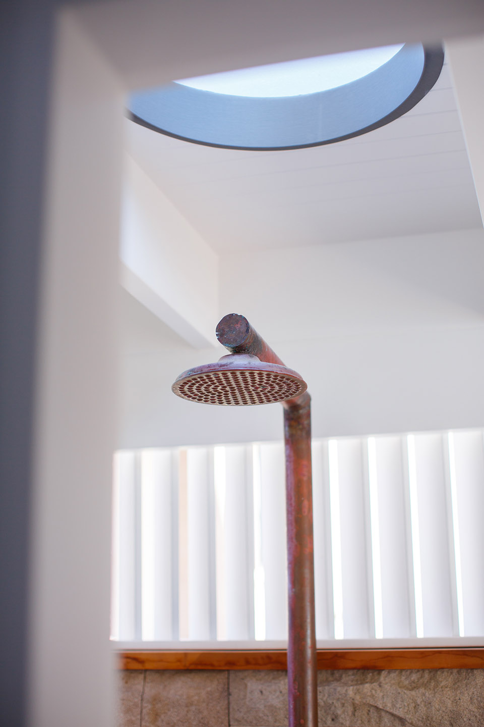 怀特住宅,澳大利亚 / buck&simple -35