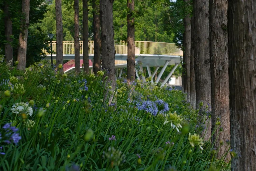 寻趣园·昆山活力街角等景观提升设计丨中国江苏丨上海亦境建筑景观有限公司,上海交通大学设计学院风景园林研究所-69