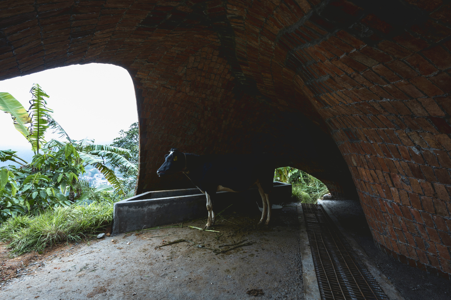 印度 Peermade 的 Haven 永恒体验馆丨Rnd Earth-10