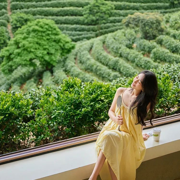 安吉观景平台及茶室丨中国浙江丨HATCH 汉齐建筑-17