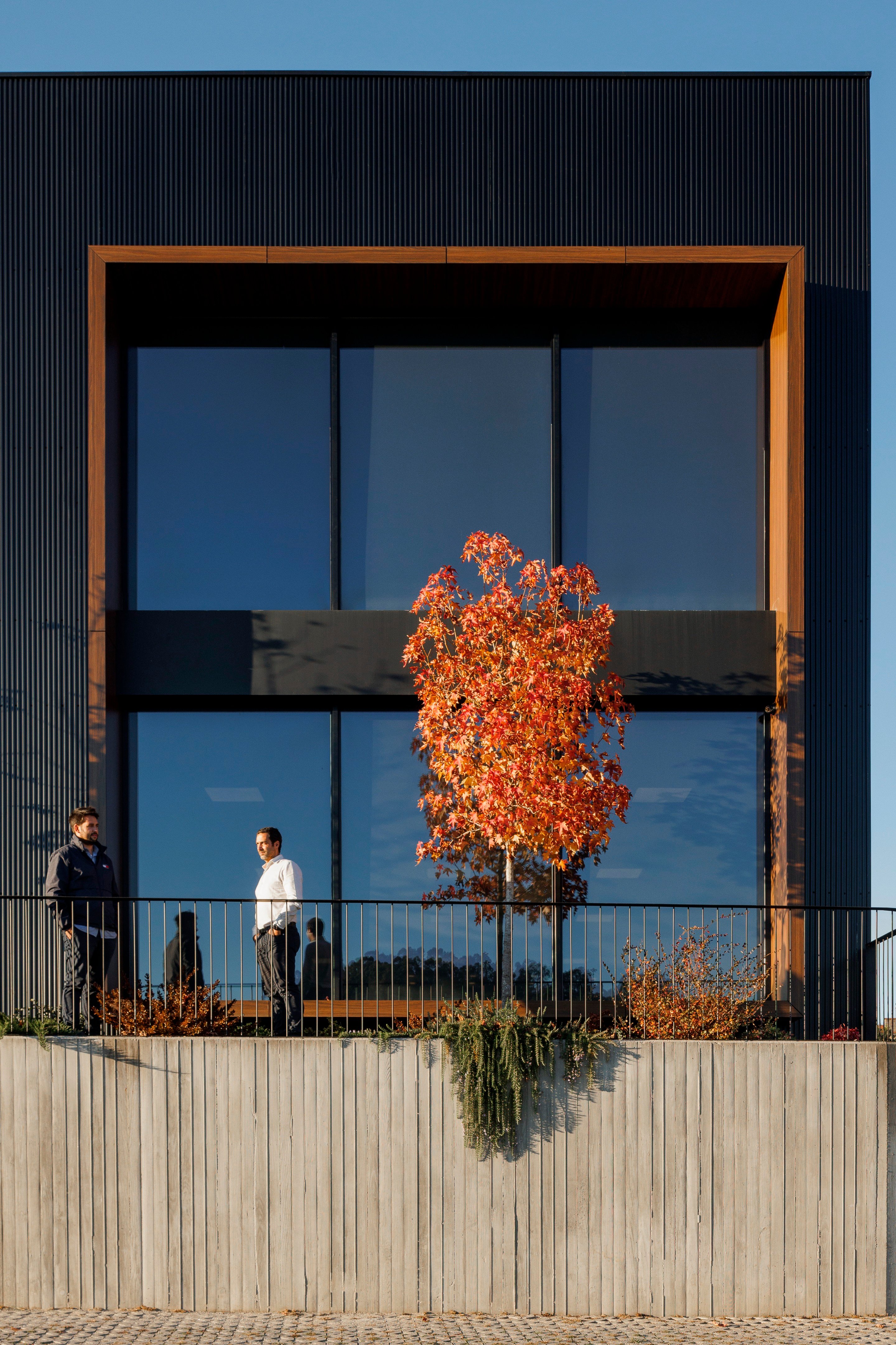 费西米尼奥物理治疗诊所丨葡萄牙丨L2C Arquitectura-41