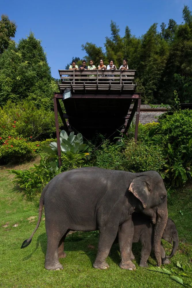 670㎡度假村 | 原生态木工作坊,Glenn Murcutt 式偏远地区建筑技巧-20