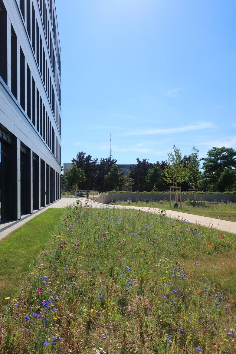 fagus | seelemann Landschaftsarchitekten丨Verwaltungsgebäude Porta Alte Messe Leipzig丨德国-7