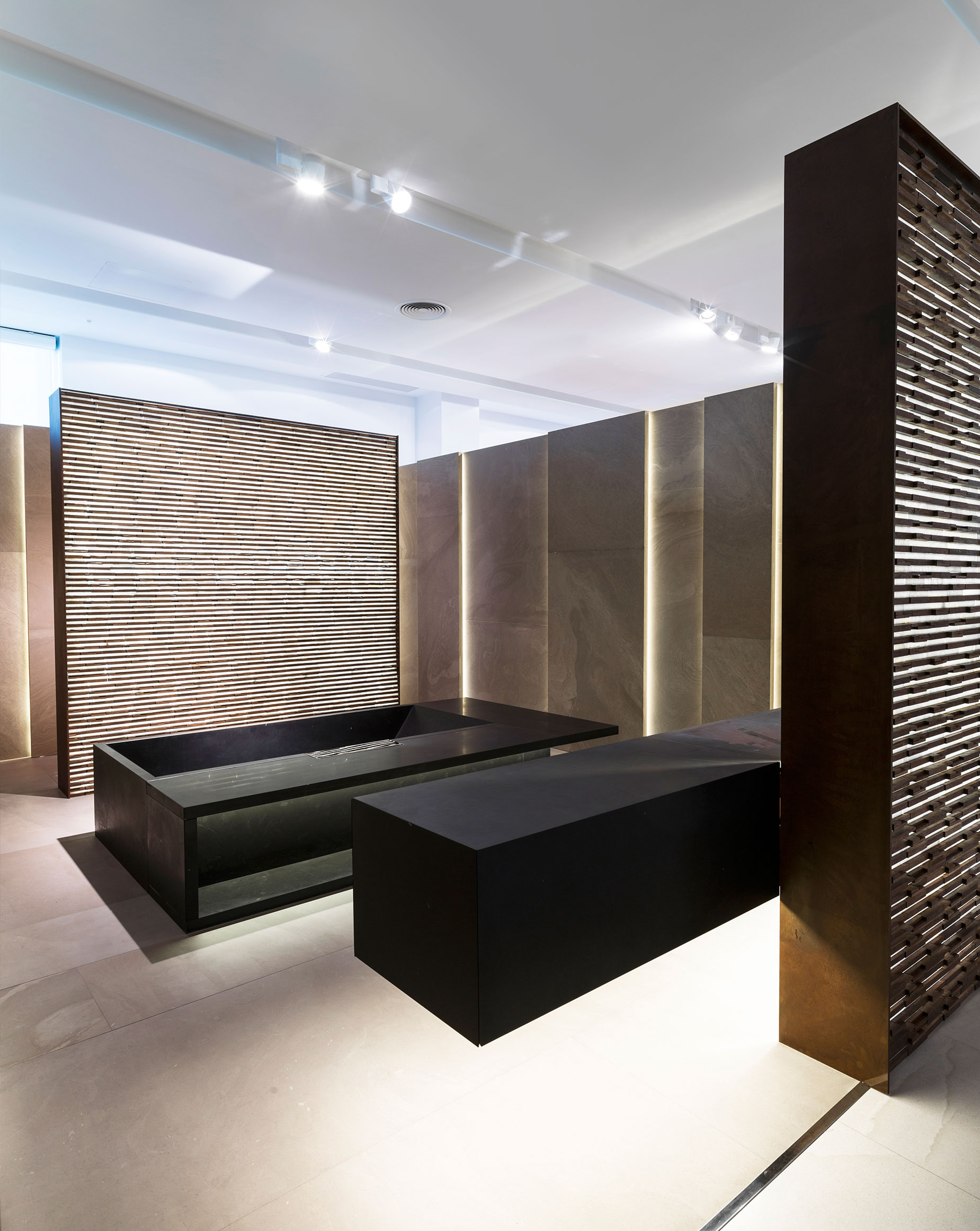 Author Space Terma Ramón Esteve-0