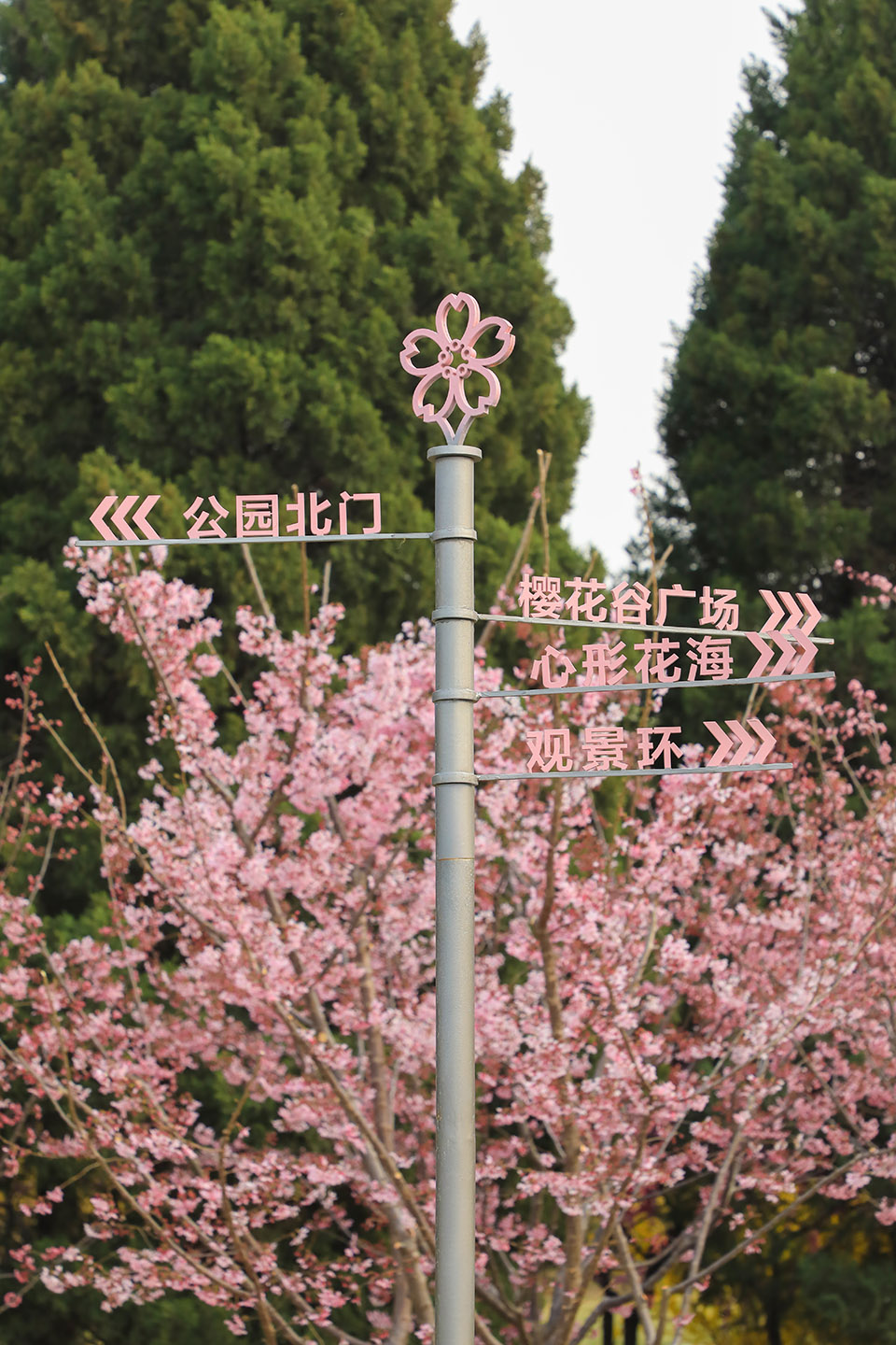 北小河公园樱花谷环境改造提升设计丨中国北京丨埊木设计（CAFA·A城市艺术创新中心）-132